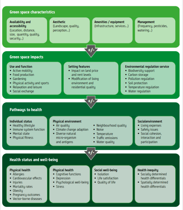 Figure 1: A causal model of the impacts of urban green spaces on health and well-being.