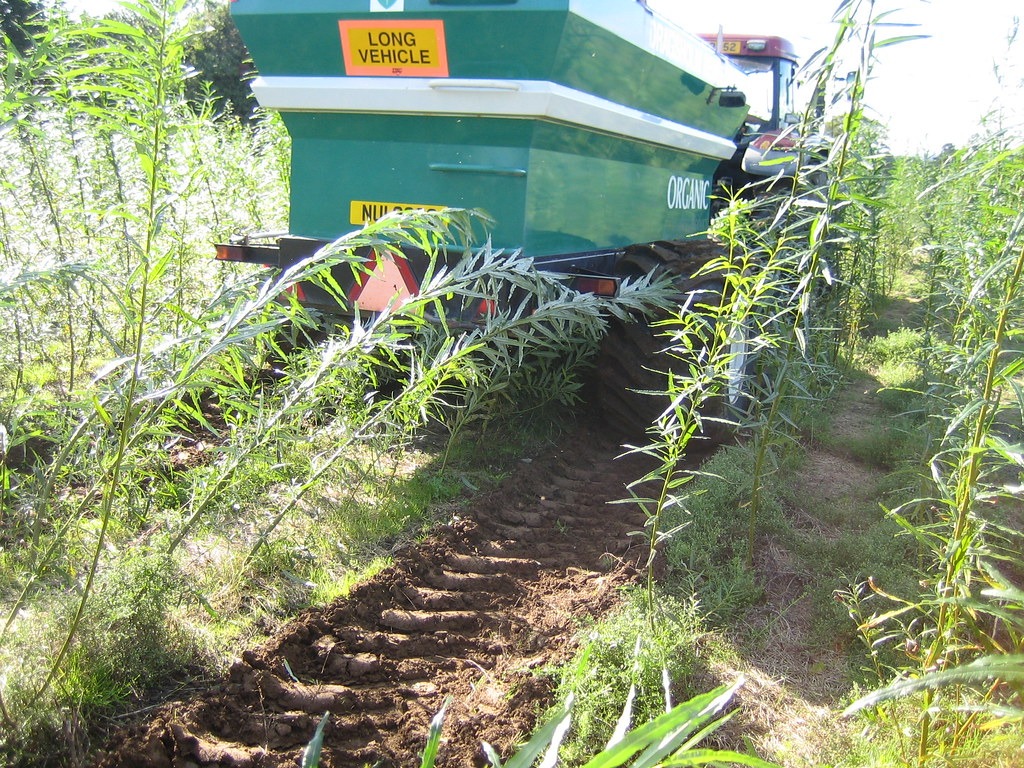 repurposing fecal sludge