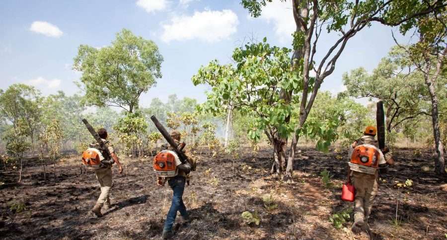 Indigenous Fire Management