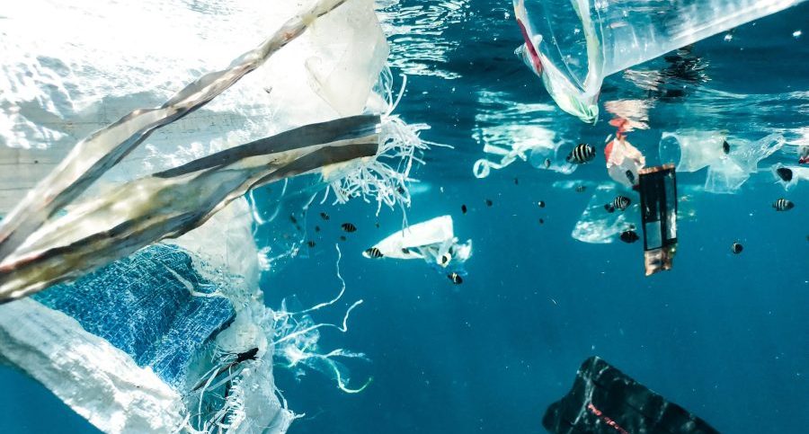 Microplastics in the sea are accumulating at an alarming rate.