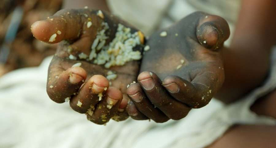 Population growth rates may cause a hunger crisis.