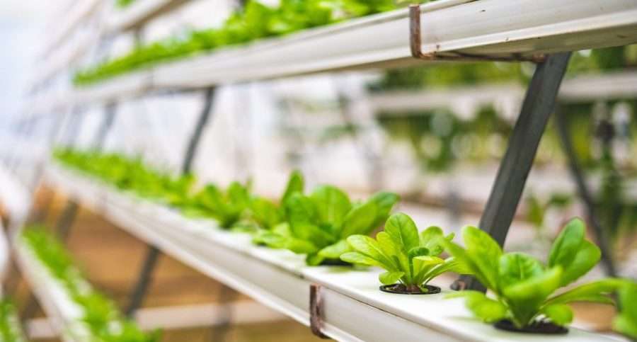 Advanced farming is the future for agriculture.