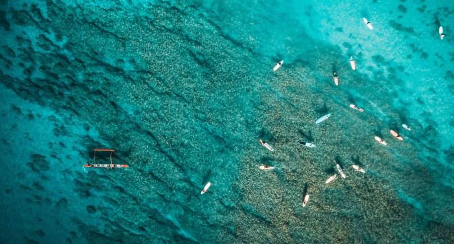 How do sustainable business models in the fishing industry compare to other industries?