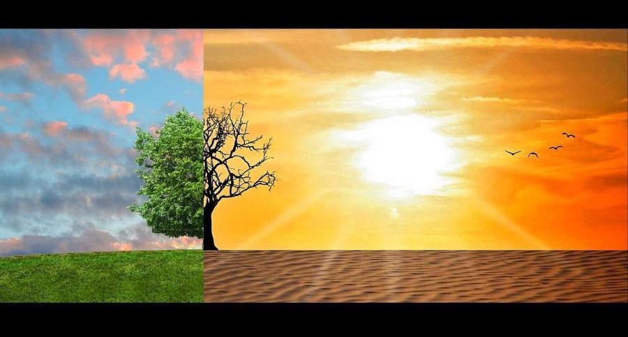Climate risk management is essential for a thrivable future.