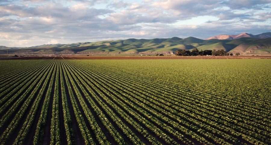 We must mitigate access to water for sustainable agriculture and food security