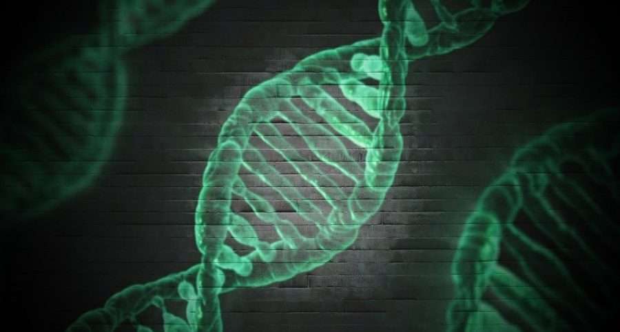 Biotechnological innovations can create a thrivable future