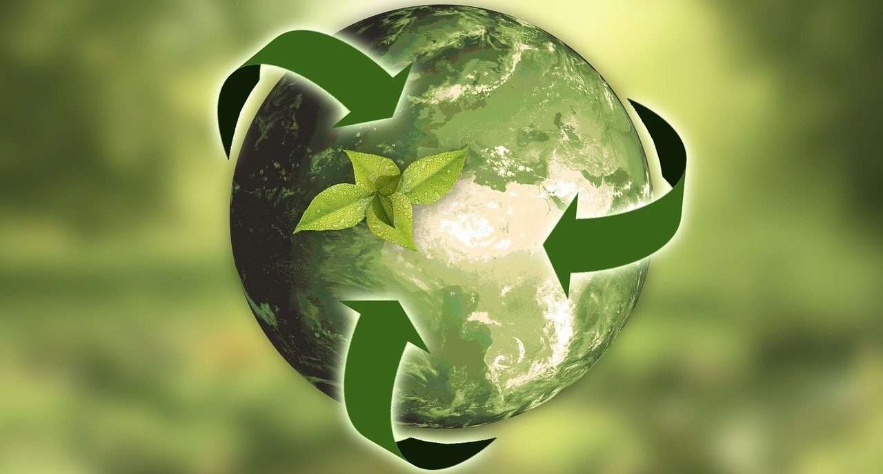 ESG vs sustainability: what is it?