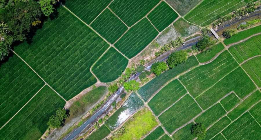 There is great importance to sustainable farming