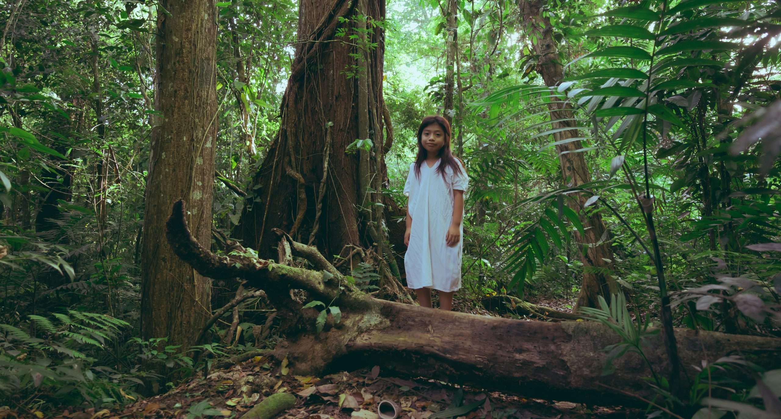 Decolonising climate change