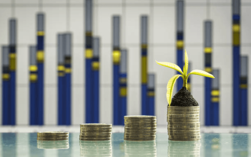 ESG Investing and Finance
