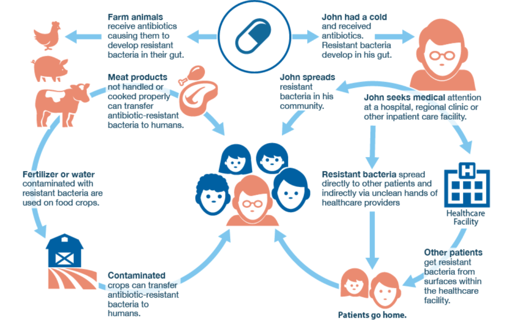The spreading of antimicrobial resistance.