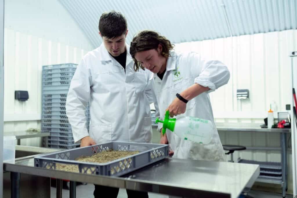 pexels-photo-3912470 Two scientists in lab coats conducting research on sustainable indoor farming techniques.