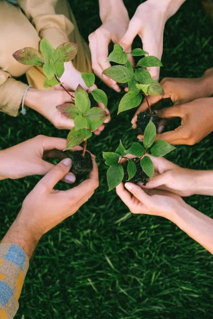 pexels-photo-5029853 Group of diverse people planting tree saplings together, symbolizing sustainability and teamwork.