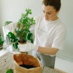 pexels-photo-7655921-7655921 Young woman planting a sapling indoors, embracing eco-friendly lifestyle. Ideal for sustainability themes.