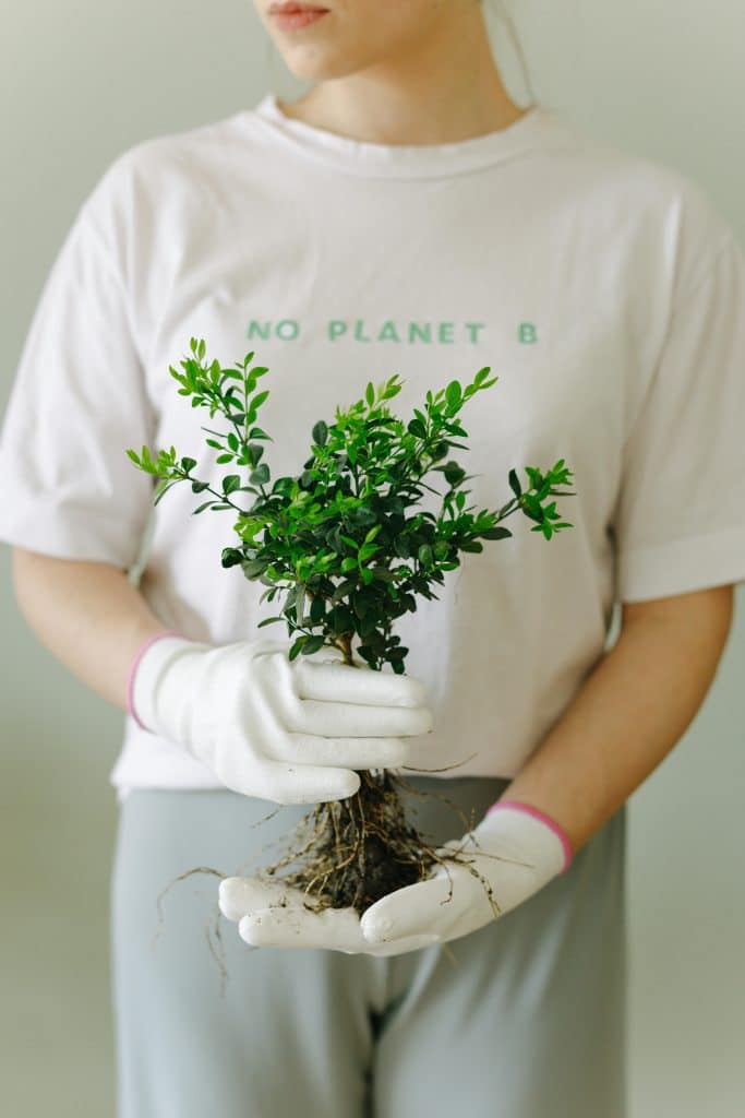 pexels-photo-7655815-7655815 Woman wearing gloves holds a plant with 'No Planet B' shirt, promoting eco-friendly lifestyle.